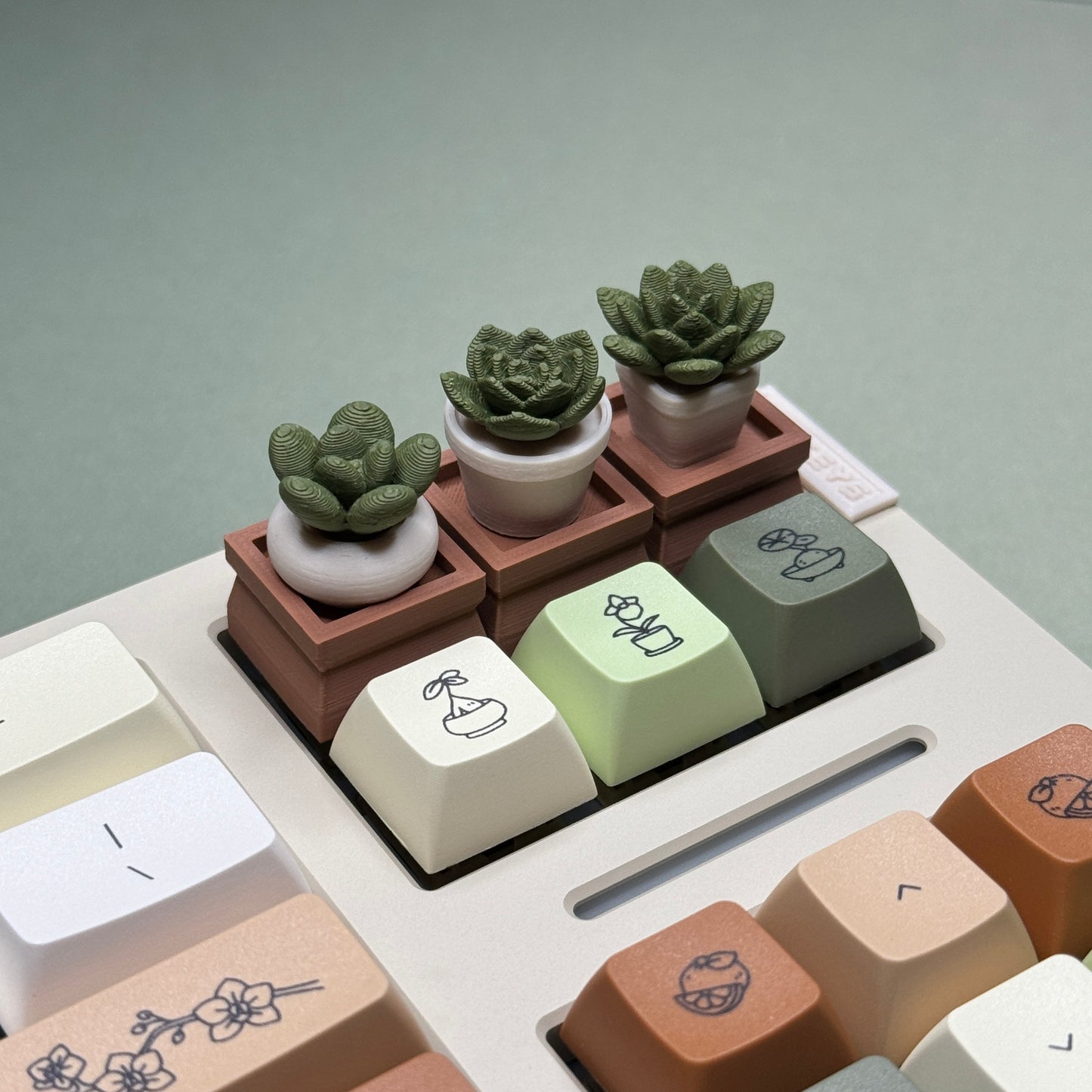 succulent keycap