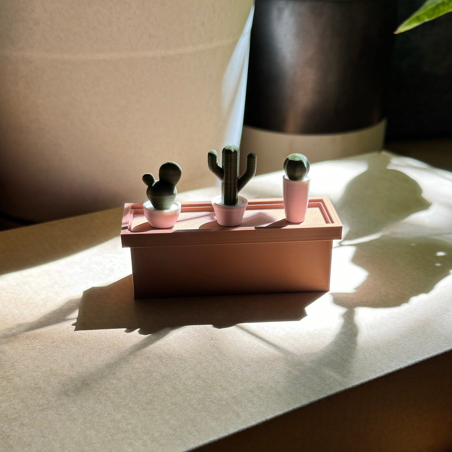 cactus planter