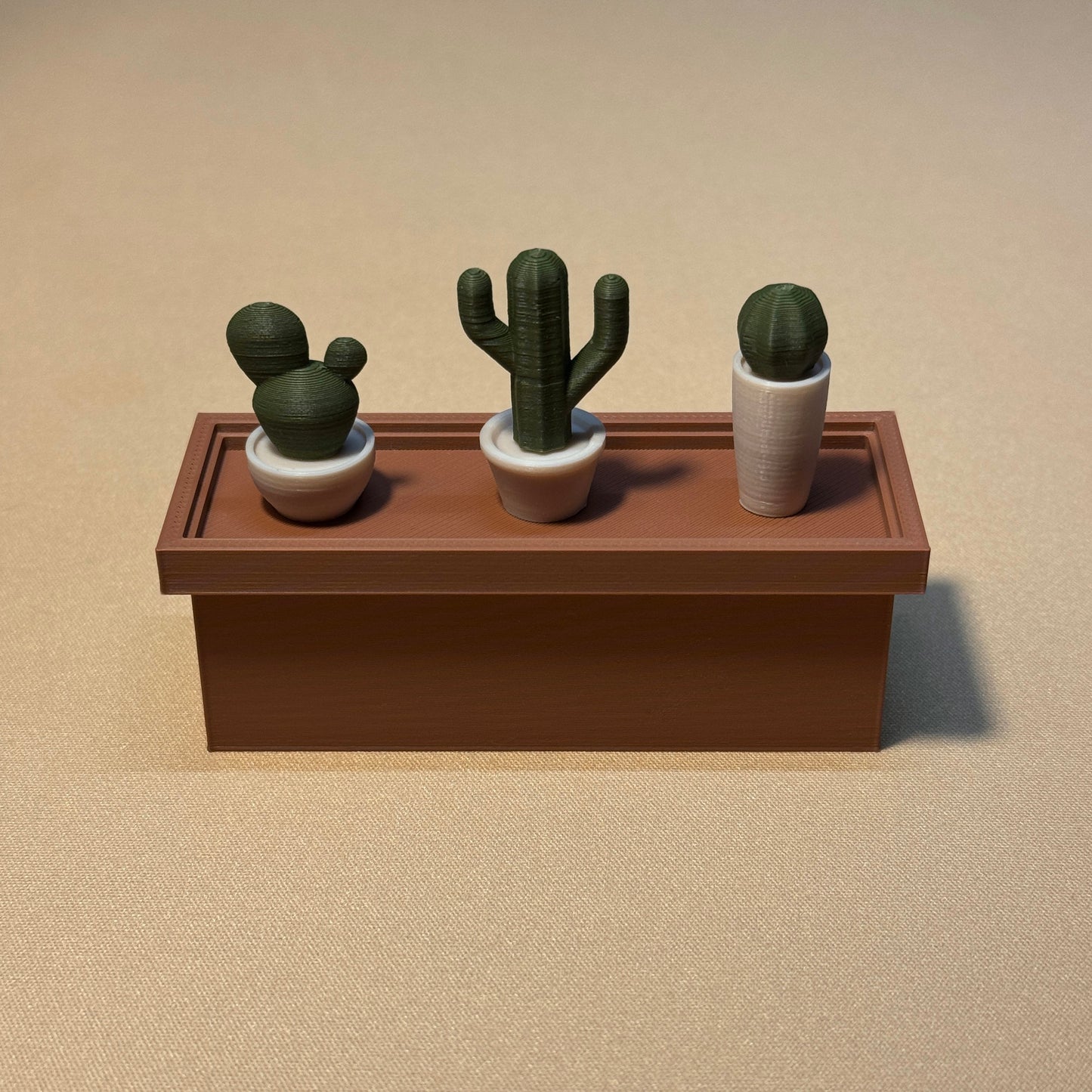 cactus planter