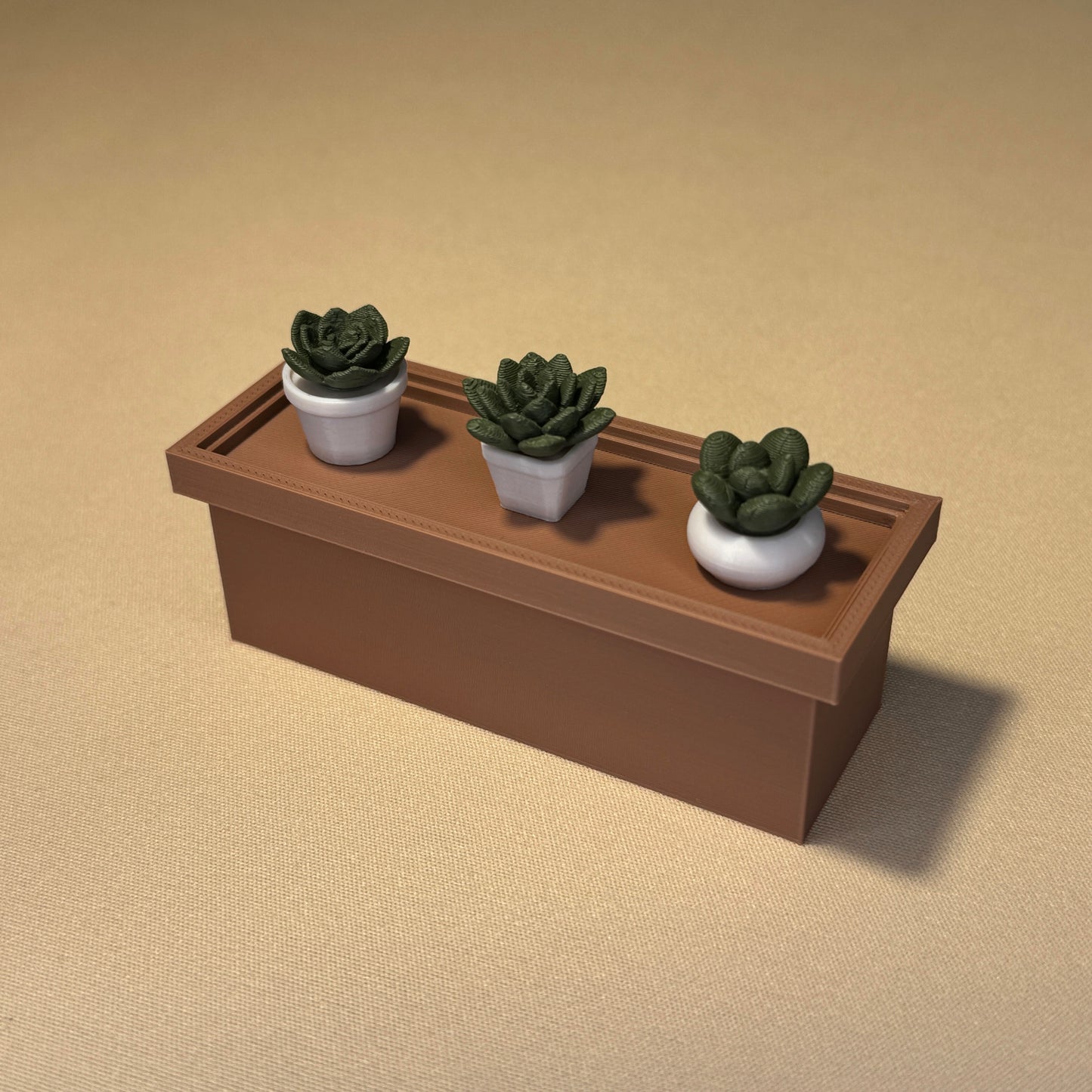 succulent planter