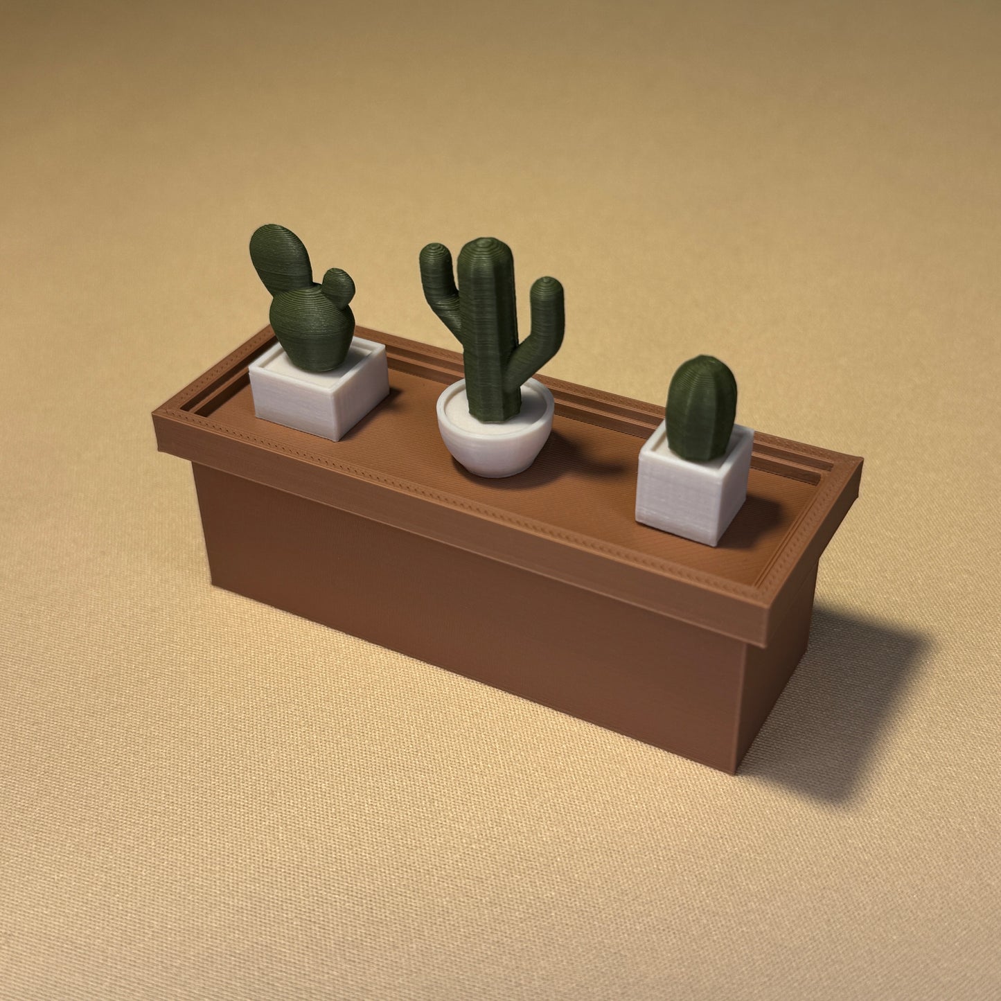 cactus planter