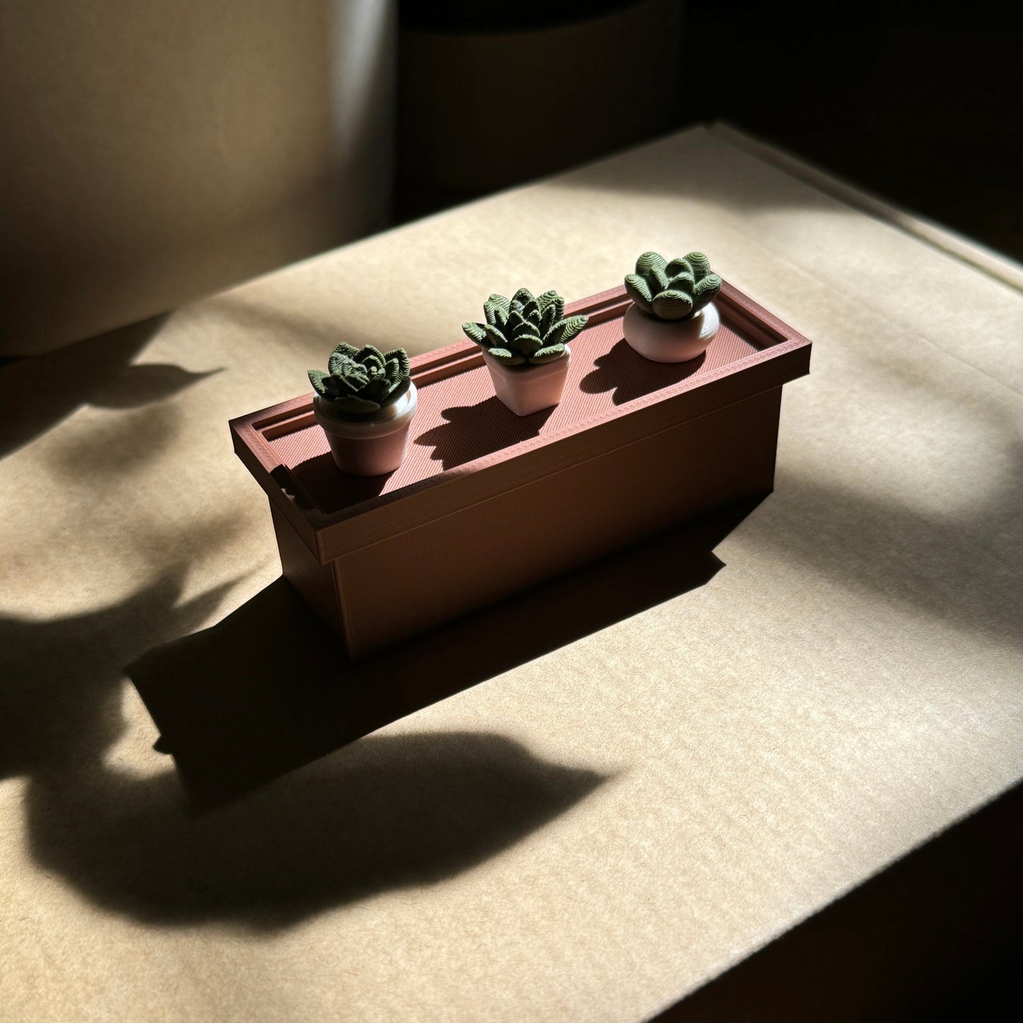 succulent planter