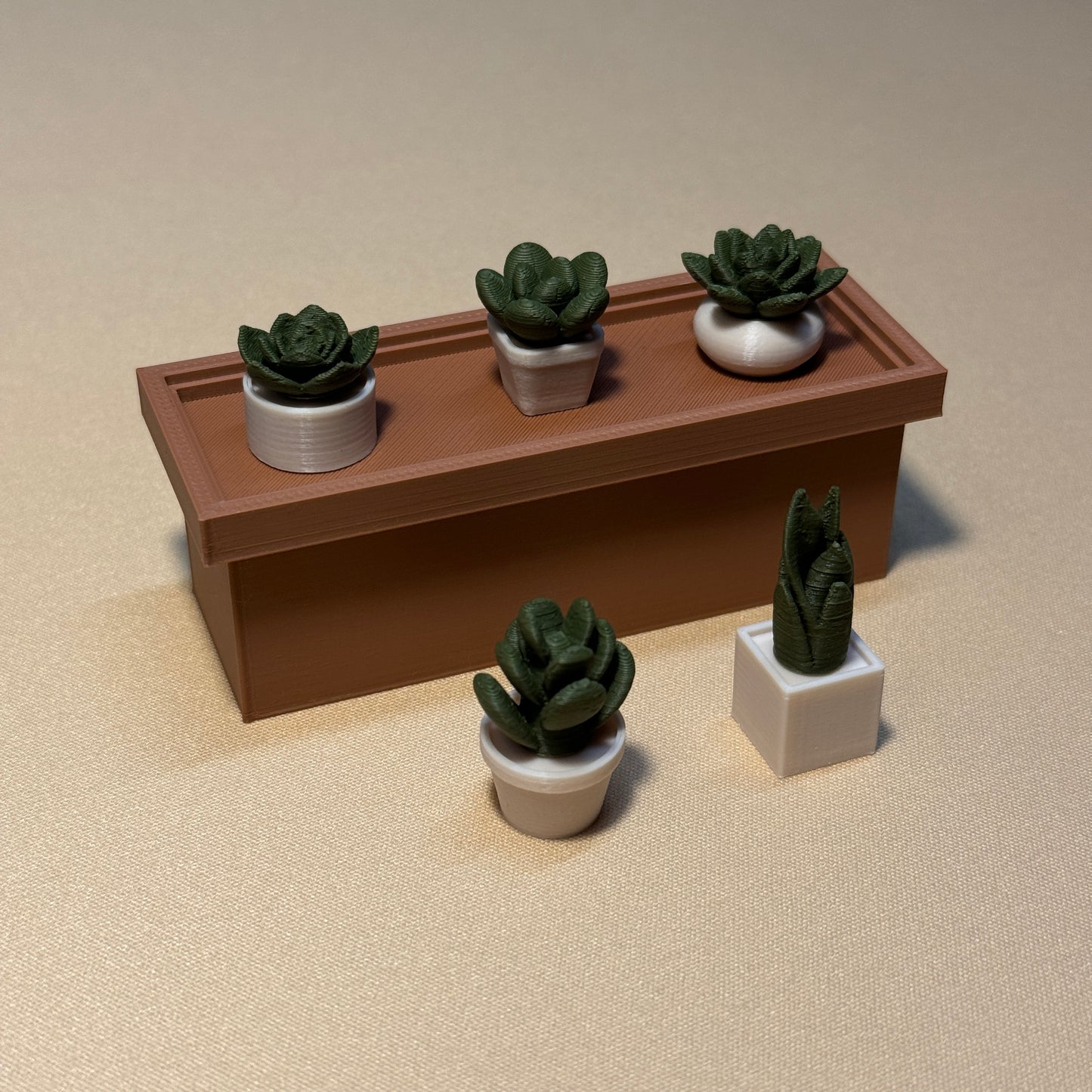 succulent planter